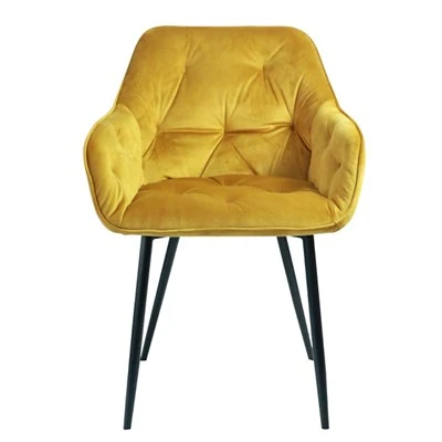Velvet Fabric Jedálenská stolička Kreslo Obývacia izba